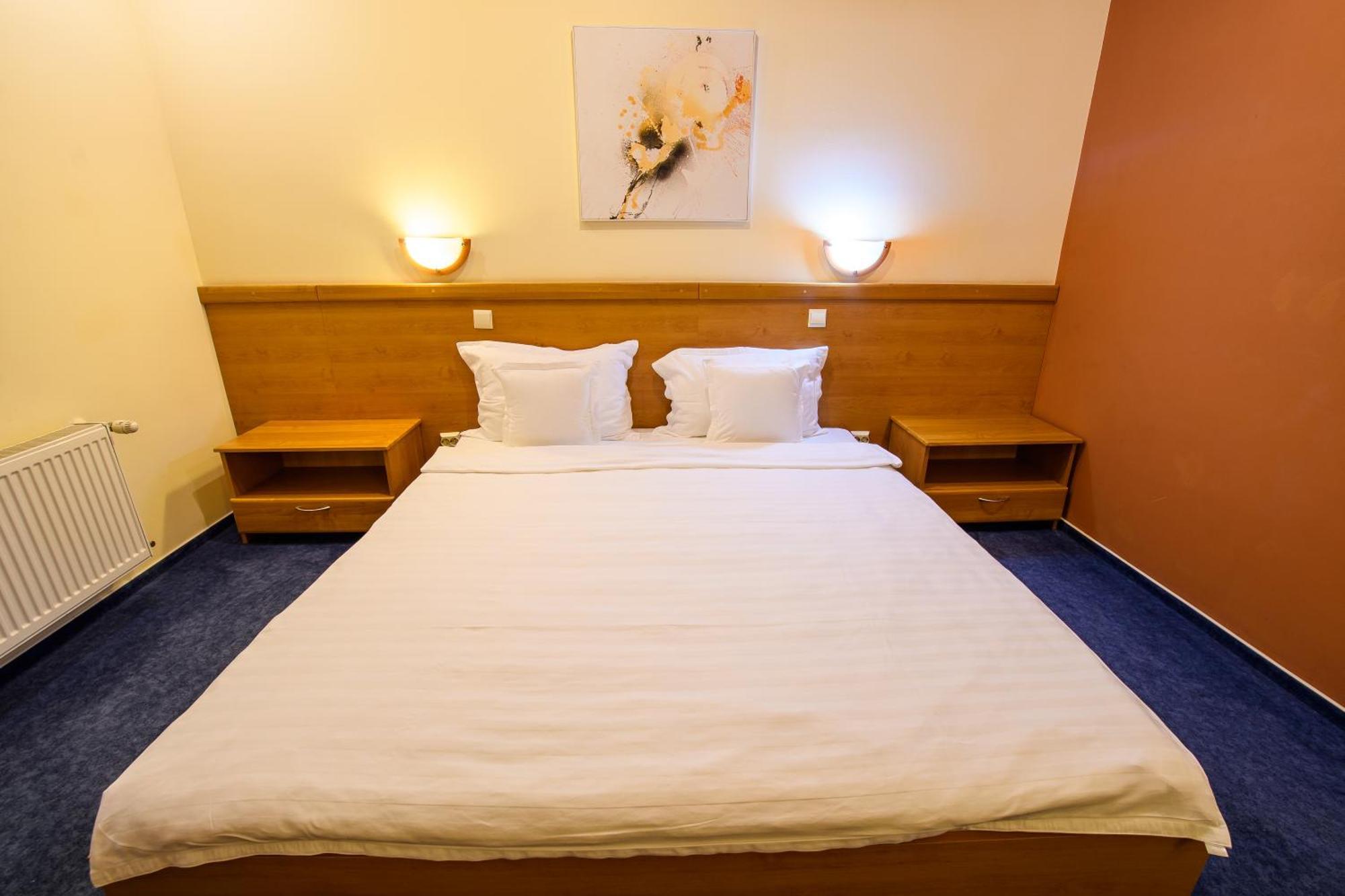 טימישוארה Hotel Torontal מראה חיצוני תמונה